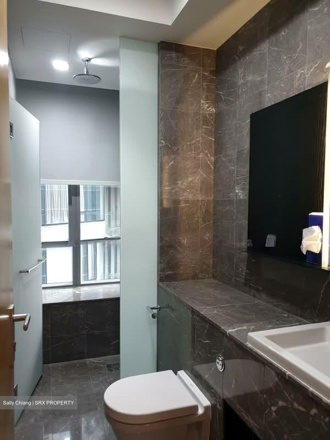 Helios Residences (D9), Apartment #576793371